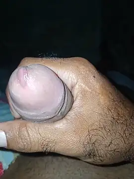 taylorWiiz online show from November 2025 04:56:02 AM