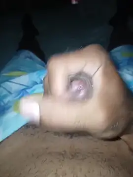 taylorWiiz online show from December 2025 07:52:01 PM