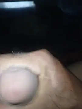 taylorWiiz online show from February 2026 07:58:01 PM