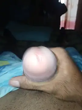 taylorWiiz online show from February 2026 06:48:02 PM