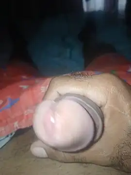 taylorWiiz online show from December 2025 04:30:01 PM