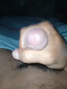 taylorWiiz online show from January 2026 04:49:02 AM