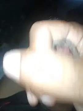 taylorWiiz online show from November 2025 02:07:02 PM