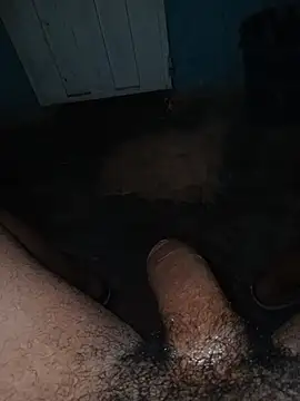 taylorWiiz online show from December 2025 01:49:02 AM