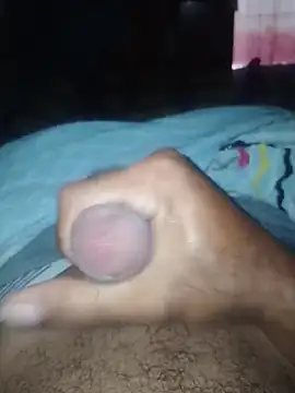 taylorWiiz online show from February 2026 02:28:01 PM