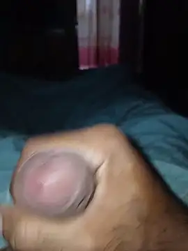 taylorWiiz online show from February 2026 12:48:02 PM