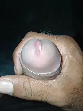 taylorWiiz online show from January 2026 04:29:02 AM