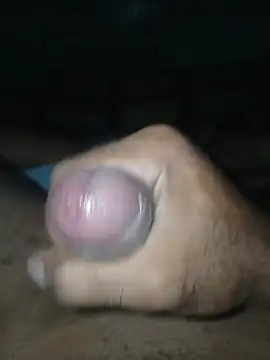 taylorWiiz online show from February 2026 06:31:02 AM