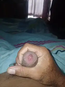 taylorWiiz online show from February 2026 02:41:02 PM