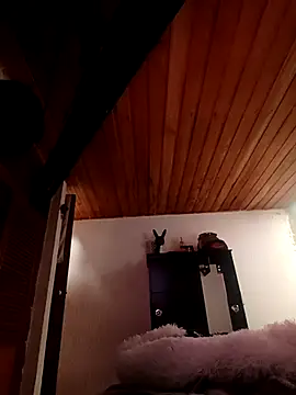 Ssan25 online show from March 2026 01:56:01 PM