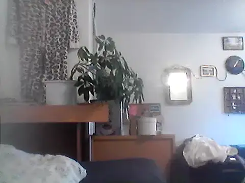 Snapshot of Bigpenis6y chatting on December 2024 12:05:02 PM Bigpenis6y online show from December 2024 12:05:02 PM