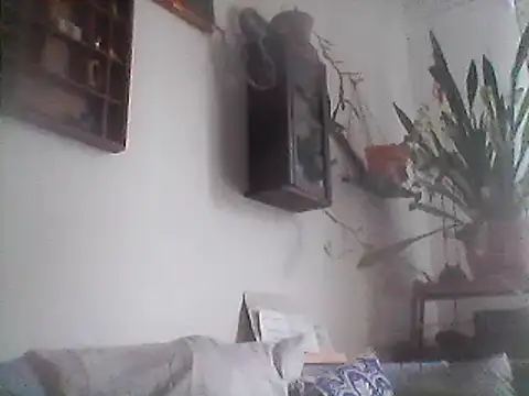 Snapshot of Bigpenis6y chatting on December 2024 01:17:02 PM Bigpenis6y online show from December 2024 01:17:02 PM