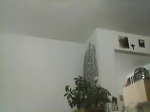 Snapshot of Bigpenis6y chatting on December 2024 03:39:01 PM Bigpenis6y online show from December 2024 03:39:01 PM