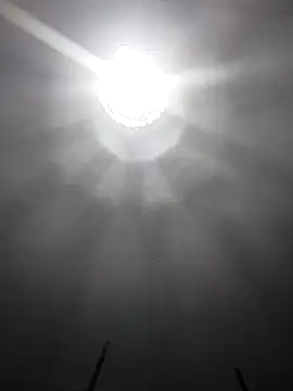 SweetLeila40 online show from May 2026 12:43:02 AM