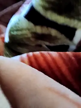 yhona darling online show from December 2025 05:32:02 AM