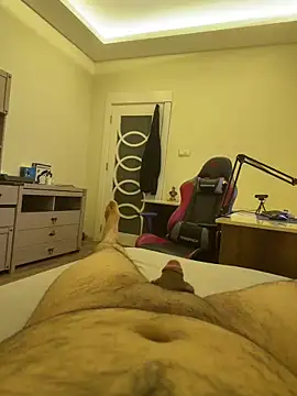 31cektirenbatuu online show from February 2026 10:20:02 PM