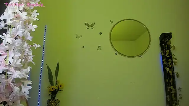Sophie sweett19 online show from February 2025 03:14:02 AM