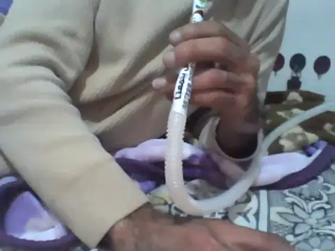 Soso2025s online show from March 2026 01:58:01 PM