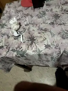 Xxxhalcon online show from March 2026 03:58:01 PM