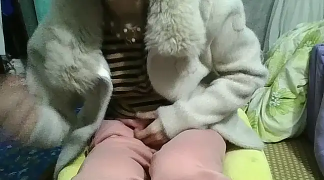 Snapshot of Anna-Cute69 chatting on February 2025 03:14:02 AM Anna-Cute69 online show from February 2025 03:14:02 AM