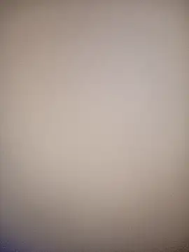 bustybillies online show from February 2026 10:37:01 AM