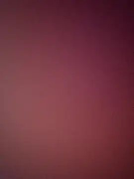 bustybillies online show from April 2026 04:52:01 AM