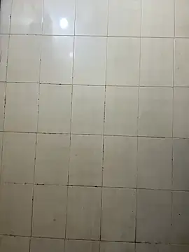 SinfulSensation online show from March 2025 05:17:02 AM