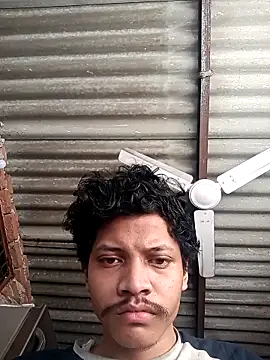 Dreamdaze2025 online show from April 2026 03:46:02 AM