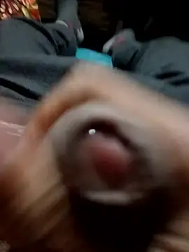 Dreamdaze2025 online show from January 2026 04:35:02 PM