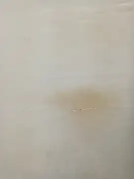 Rina777o online show from March 2025 06:11:02 PM