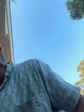 ausbod online show from December 2024 08:28:02 AM