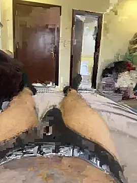 talall12345 online show from March 2025 02:24:01 PM