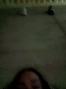 Snapshot of Ariatrans chatting on September 2025 11:11:01 PM Ariatrans online show from September 2025 11:11:01 PM