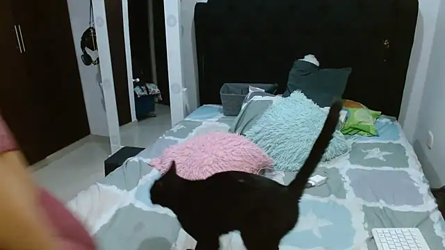 amazonafit  online show from February 2025 04:13:01 AM