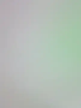 -Zelda- online show from October 2025 08:30:01 PM