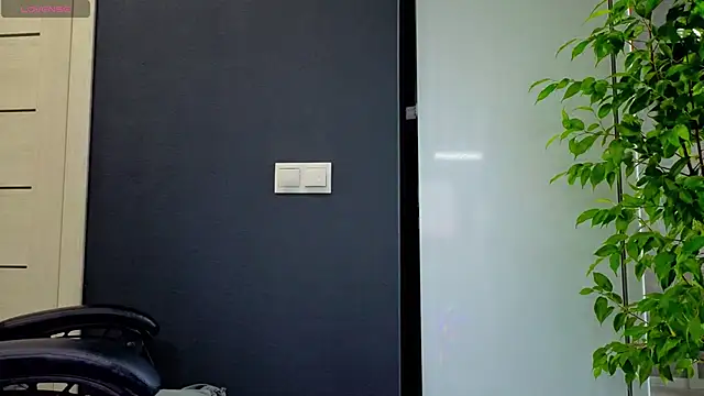 Your Katy online show from June 2026 12:32:01 PM