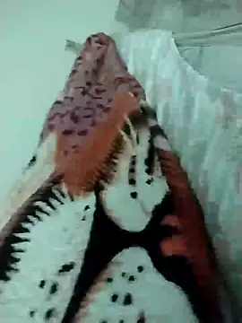 Snapshot of lm279 chatting on March 2025 09:16:02 AM lm279 online show from March 2025 09:16:02 AM