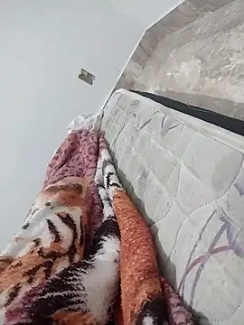 Snapshot of lm279 chatting on February 2025 01:08:02 AM lm279 online show from February 2025 01:08:02 AM