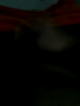 Snapshot of lm279 chatting on October 2025 06:08:01 PM lm279 online show from October 2025 06:08:01 PM