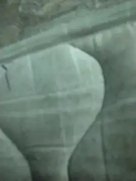 Snapshot of lm279 chatting on February 2025 08:20:02 PM lm279 online show from February 2025 08:20:02 PM