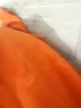 lm279 online show from November 2025 04:17:02 PM