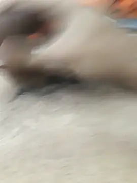 lm279 online show from February 2026 03:45:01 PM