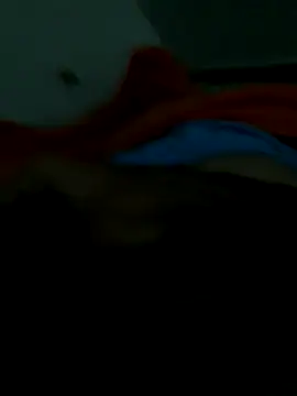 lm279 online show from November 2025 10:26:01 AM