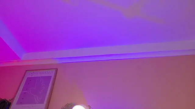 Snapshot of ParisFox_ chatting on February 2026 08:53:02 PM ParisFox online show from February 2026 08:53:02 PM