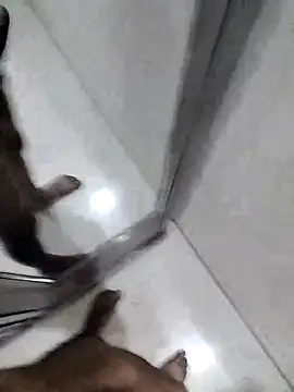 Snapshot of sanju599 chatting on March 2025 11:32:01 AM sanju599 online show from March 2025 11:32:01 AM