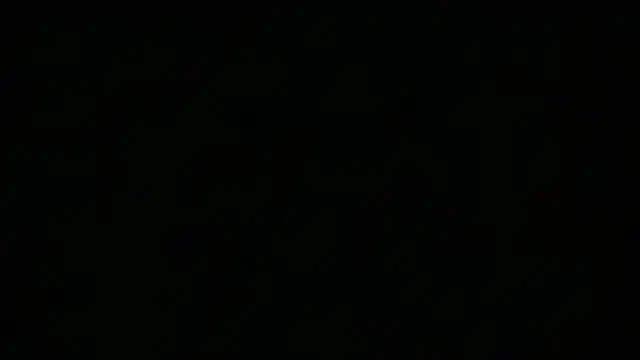 nethmisanjanaa online show from February 2026 01:51:02 PM