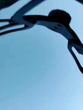 QcMisterv13 online show from October 2025 09:05:02 PM