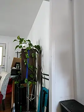 QcMisterv13 online show from September 2025 02:23:02 PM