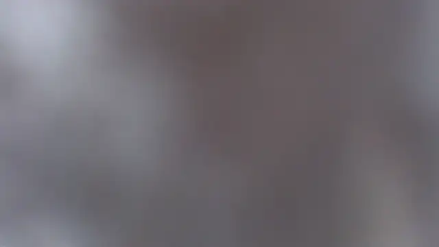 Snapshot of Laura-pervert chatting on May 2026 09:07:01 PM Laura-pervert online show from May 2026 09:07:01 PM