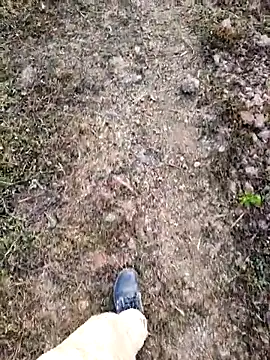 Snapshot of Ishan003 chatting on February 2026 01:34:02 AM Ishan003 online show from February 2026 01:34:02 AM